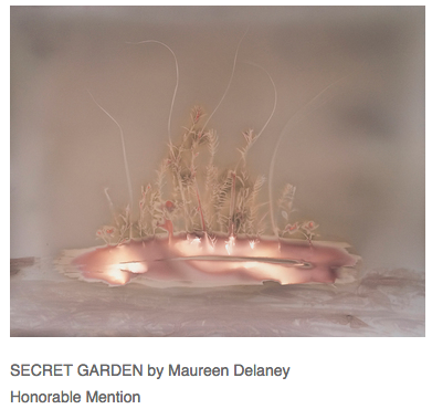 News Maureen Delaney