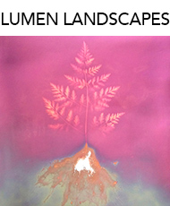 Logo_LumenLandscapes_3