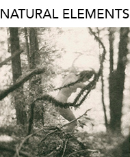Logo_NaturalElements_3