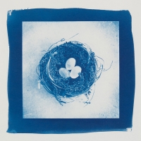 Cyanotype