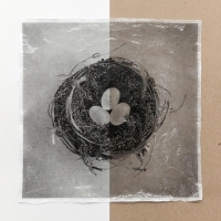 GelTransfer_BWPhotocopy_WhitePaperAndBrownPaper